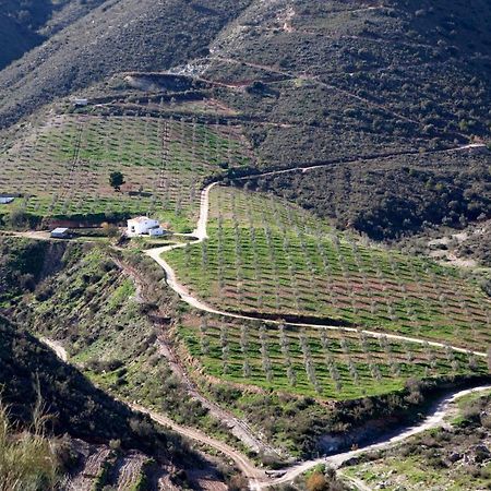 Cortijo El Rancho Villa Albanchez Eksteriør billede