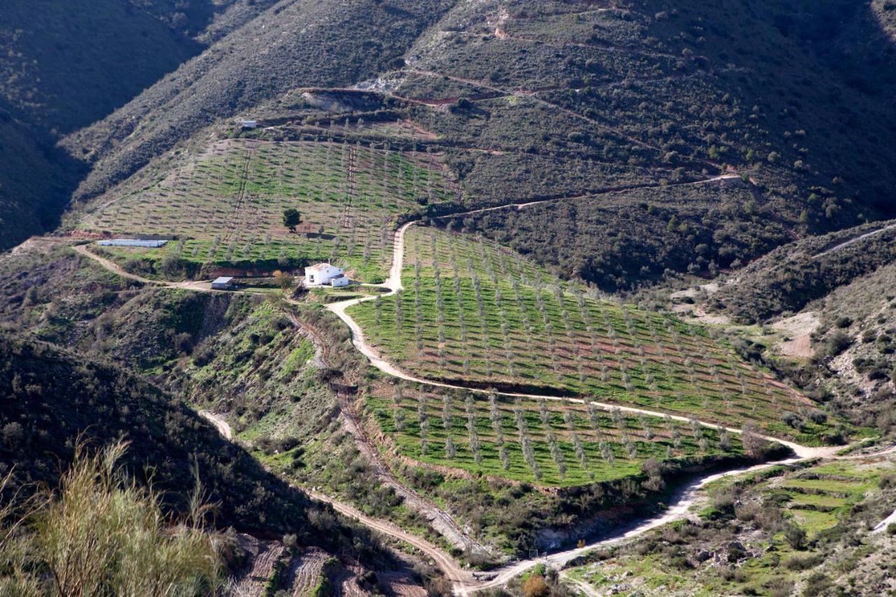 Cortijo El Rancho Villa Albanchez Eksteriør billede