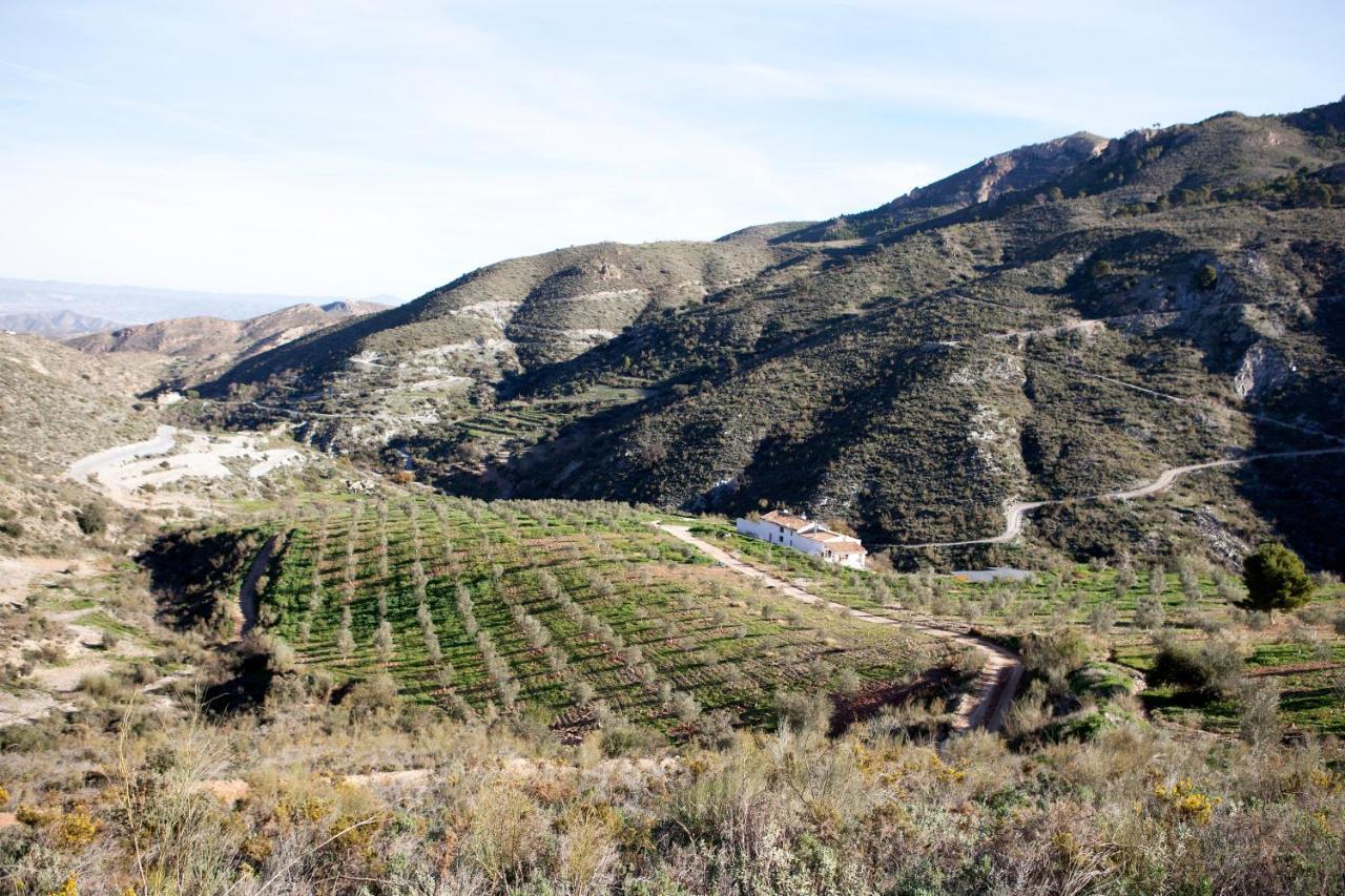 Cortijo El Rancho Villa Albanchez Eksteriør billede