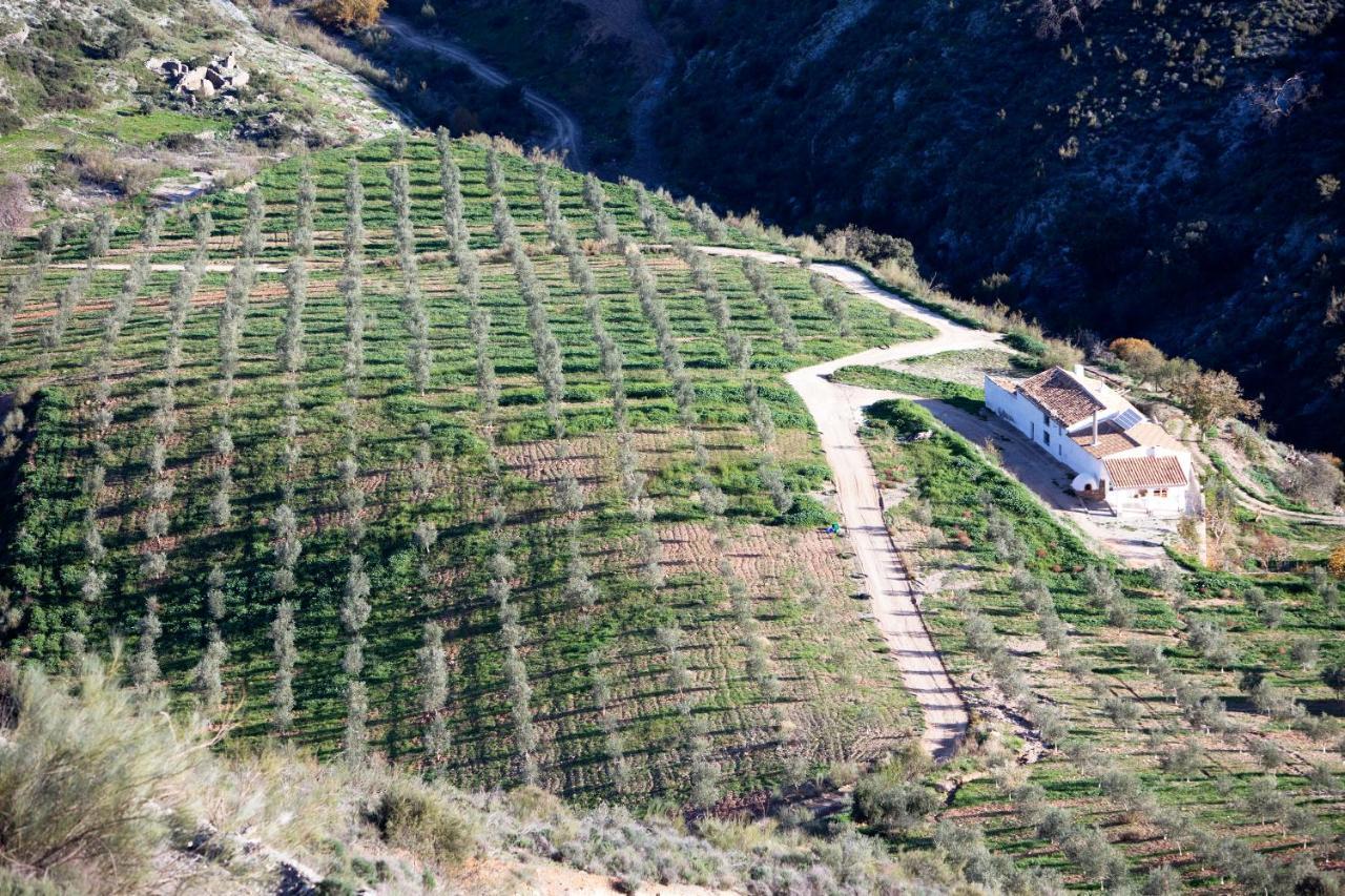 Cortijo El Rancho Villa Albanchez Eksteriør billede